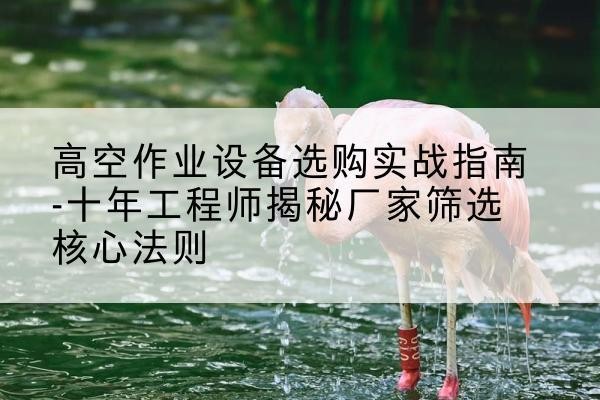 宝丰剪叉式升降机厂家-高空作业设备选购实战指南-十年工程师揭秘厂家筛选核心法则