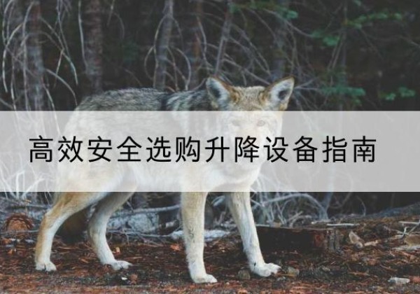 宝丰升降货梯厂家推荐-*安全选购升降设备指南