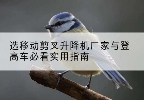 宝丰电动升降机厂家-选移动剪叉升降机厂家与登高车必看实用指南