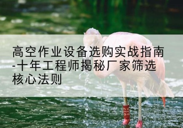宝丰剪叉式升降机厂家-高空作业设备选购实战指南-十年工程师揭秘厂家筛选核心法则